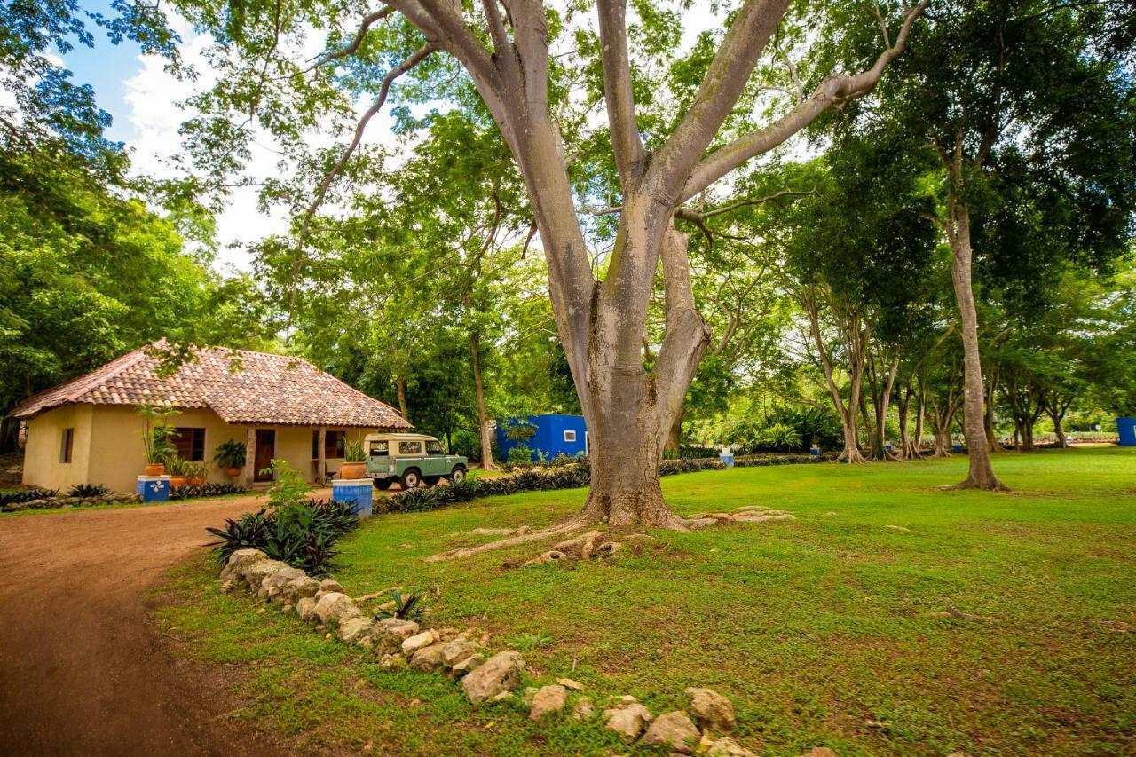 Bed and Breakfast La Casa Del Mago Uxmal Exterior foto